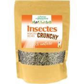 Ferme De Beaumont - Insectes séchés Crunchy • larves