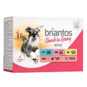 Lot Briantos Bouchées en sauce 48 x 100 g pour chien