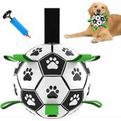 Jouets pour chiens interactifs Jouet durable pour chien Tug of War Jouet d'eau pour chien d'extérieur de 6 pouces pour petits chiens de taille moyenne