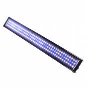 Système d'éclairage à LED pour aquarium, ampoule