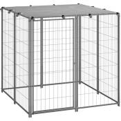 Chenil extérieur cage enclos parc animaux chien argenté