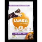 IAMS Vitality Croquettes super premium chatons - Complètes