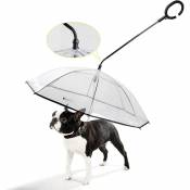 Parapluie pour chien avec laisse pour promener son