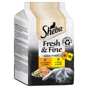 6x50g Sheba Délices du jour Fresh & Fine Poulet et dinde en gelée - Pâtée pour chat