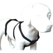 Animallparadise - Harnais de sécurité taille xl pour chien en voiture Noir