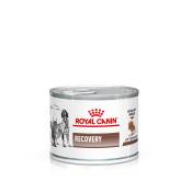 12x195g Recovery Royal Canin Veterinary Diet - Pâtée pour chat