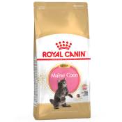 2x10kg Kitten Maine Coon Royal Canin Croquettes pour