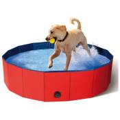 Idmarket - Piscine pliable xxl pour chien baignoire
