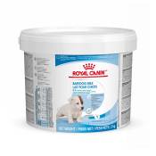 Lait Royal Canin Babydog Milk pour chiot - 2 x 2 kg