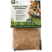 Martin Sellier - Herbe a chat a semer s