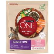 One Mini/Small Sensitive Saumon, riz - nourriture sèche pour chiens - 800 g - Purina