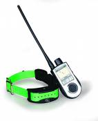 SportDOG - Collier de Dressage et Traceur GPS pour