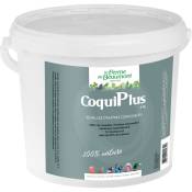 CoquiPlus 6 kg Coquilles d'huîtres concassées 35%