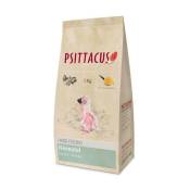 Psittacus - Papilla neonatal 1 kg