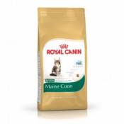 Royal canin - maine coon kitten - 2 kg