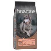 2x12kg Senior dinde, pommes de terre SANS CÉRÉALES Briantos Croquettes pour chien : -10 % !
