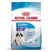2x15kg Royal Canin Giant Puppy - Croquettes pour chien