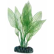 Aponogeton, Plante d'aquarium artificielle pour la décoration - 16 cm - Hobby