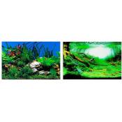 Blu 9040 Fond pour aquariums à double image . Variante blu 9046 - Mesures: 80 x h 40 cm - - Ferplast