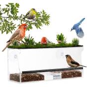Mangeoire Oiseaux Fenêtre en Acrylique avec 4 Ventouse