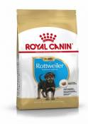 Rottweiler Puppy Aliment pour Chiots 12 KG Royal Canin