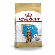ROYAL CANIN COCKER JUNIOR sac de 3 kg/Croquettes pour