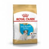 Royal Canin Jack Russell Puppy - Croquettes pour chiot-Jack