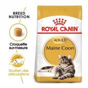 Royal Canin Maine Coon Adult - Croquettes pour chat-