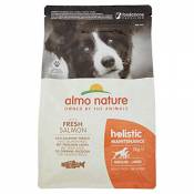 Almo Nature Holistic Dog Medium with Salmon and Rice,