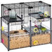 Multipla hamster crystal Cage pour hamsters et souris