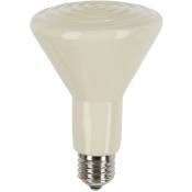 Kerbl - Ampoule céramique sans lumière E27, 60W