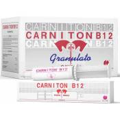 NSC - 20 sacs de 25g: carniton B12 aliment complémentaire pour chevaux à base de vitamine B12 et de L-carnitine