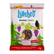 Raisins secs Lillebro 1 kg pour oiseaux sauvages -