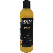 Shampoing protéiné Banane Morgan 250ml