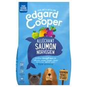 12kg Edgard & Cooper Adult saumon sans céréales - Croquettes pour chien