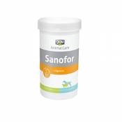 Complément alimentaire Sanofor Grau - 1 kg