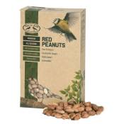 Esschert Design - Cacahuètes décortiquées rouges pour oiseaux
