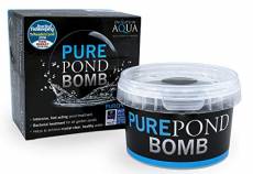 Evolution Aqua Pure Pond Bomb Traitement nettoyant