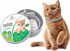 HOMIMP - Collier anti-puces pour chat - 8 mois de protection