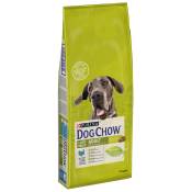 2x14kg PURINA Dog Chow Large Breed, dinde - Croquettes