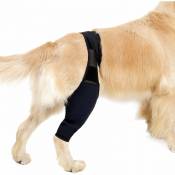 Attelle de jambe arrière pour chien, manchon de récupération