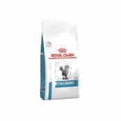 Croquettes Veterinary Diet Anallergenic pour chat Sac 2 kg - Royal Canin