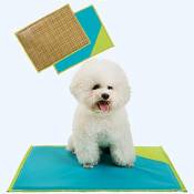 Ploopy Tapis Voiture Couchage pour Chien Chat Cool