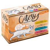 12x100g Bouchées en gelée Catessy - Sachets et Boîtes pour Chat