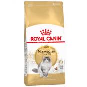 2kg Norvégien Royal Canin Croquettes pour chat