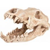 Crâne prédateur animaux, taille 24 x 13 x 13 cm, Décoration aquarium Flamingo