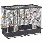 Ferplast Grande Cage pour Canaris et Petits Oiseaux