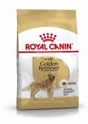 Golden Retriever Adult pour Chiens de Race Adultes 12 KG Royal Canin