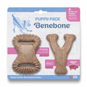 Benebone Puppy Tiny 2-Pack Durable Dental Chew/Wishbone