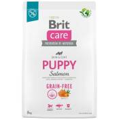 Brita - Croquettes pour chiots et jeunes chiens de toutes races (4 semaines - 12 mois).Brit Care Dog Grain-Free Puppy Saumon 3kg